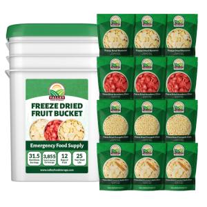 Freeze Dried Fruit Bucket - 12 Pouches!