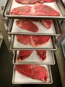 Freeze Dried Uncooked Sirloin Steaks