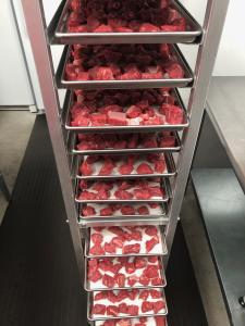 Freeze Dried Uncooked Beef Stew Cubes