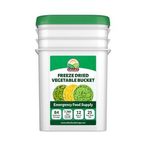 Freeze Dried Vegetables Bucket