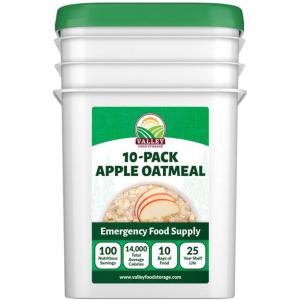 Apple Oatmeal - Single Pouch