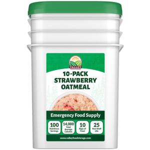Strawberry Oatmeal