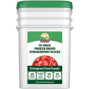 Freeze Dried Strawberry Slices