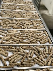 Freeze Dried Cooked Turkey Breakfast Sausage