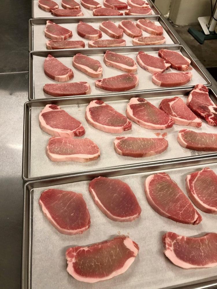 Freeze Dried Boneless Center Cut Uncooked Pork Chops