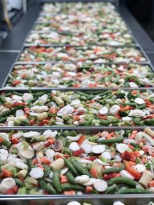 Freeze Dried Stir Fry Vegetable Mix