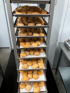 Freeze Dried Cooked Panko Breaded Chicken Nuggets