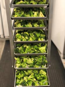 Freeze Dried Broccoli Florets