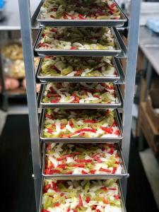 Freeze Dried Peppers and Onions / Fajita Mix