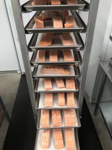 Freeze Dried Uncooked Wild Caught US Salmon Filets