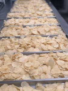 Freeze Dried Sliced Potatoes