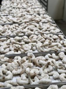 Freeze Dried Raw Peeled & Deveined Shrimp
