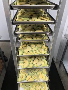 Freeze Dried Sliced Fresh Avocado