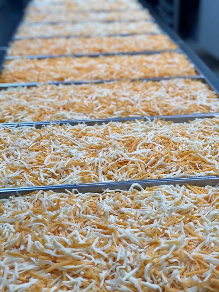 Freeze Dried Shredded Cheddar Jack Cheese