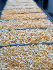 Freeze Dried Shredded Cheddar Jack Cheese