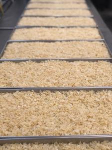 Freeze Dried Diced Potatoes