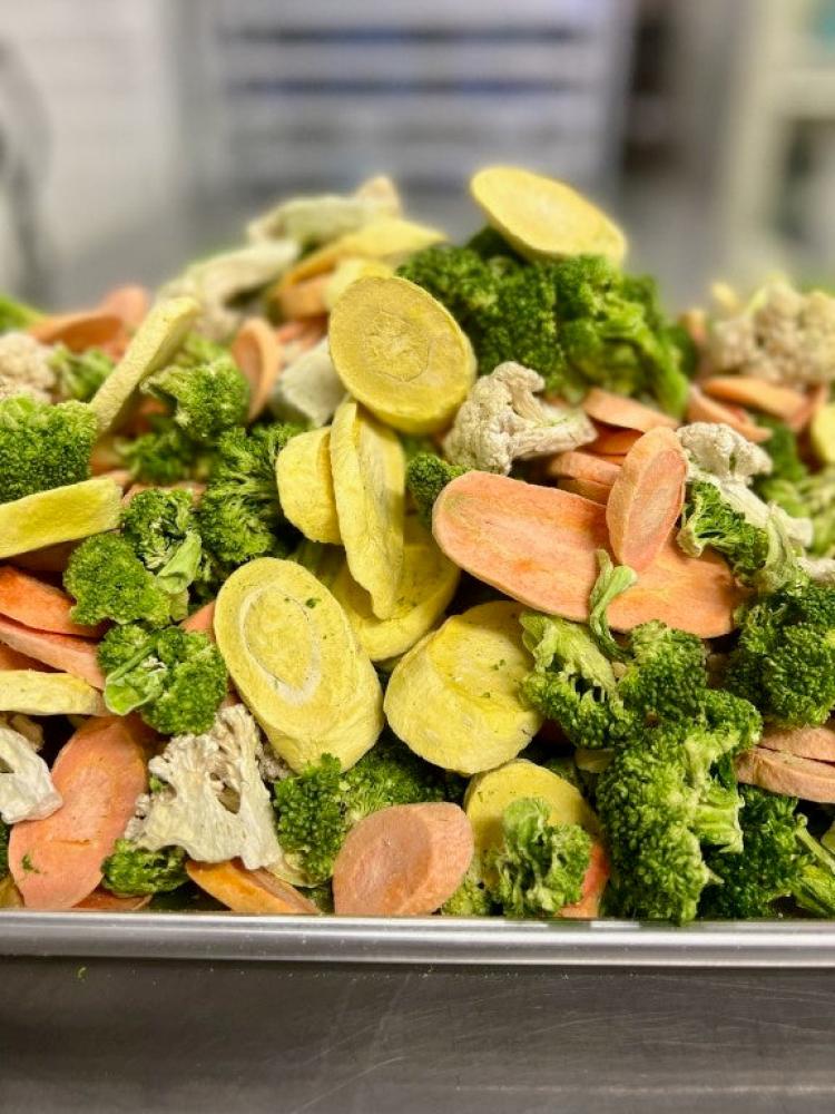 Freeze Dried Monterey Vegetable Blend