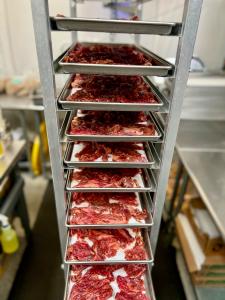 Freeze Dried Uncooked Carne Asada