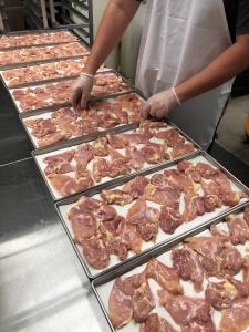 Freeze Dried Uncooked Chicken Thighs