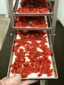 Freeze Dried Diced Tomatoes