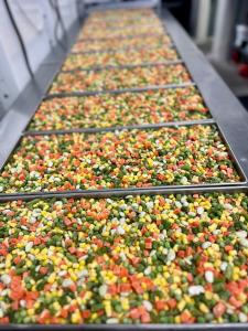 Freeze Dried Classic Mixed Vegetables