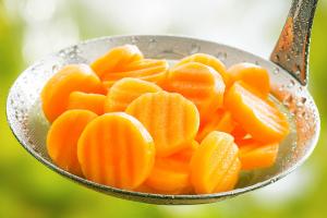 Freeze Dried Sliced Carrots