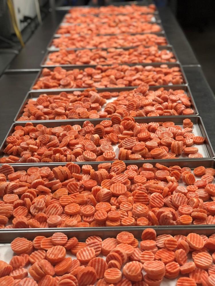 Freeze Dried Sliced Carrots