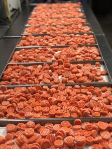 Freeze Dried Sliced Carrots