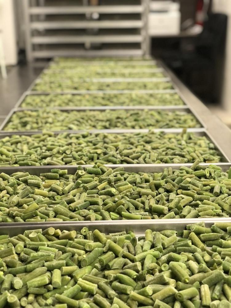 Freeze Dried Cut Green Beans - (Blanched)