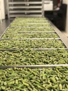 Freeze Dried Cut Green Beans - (Blanched)