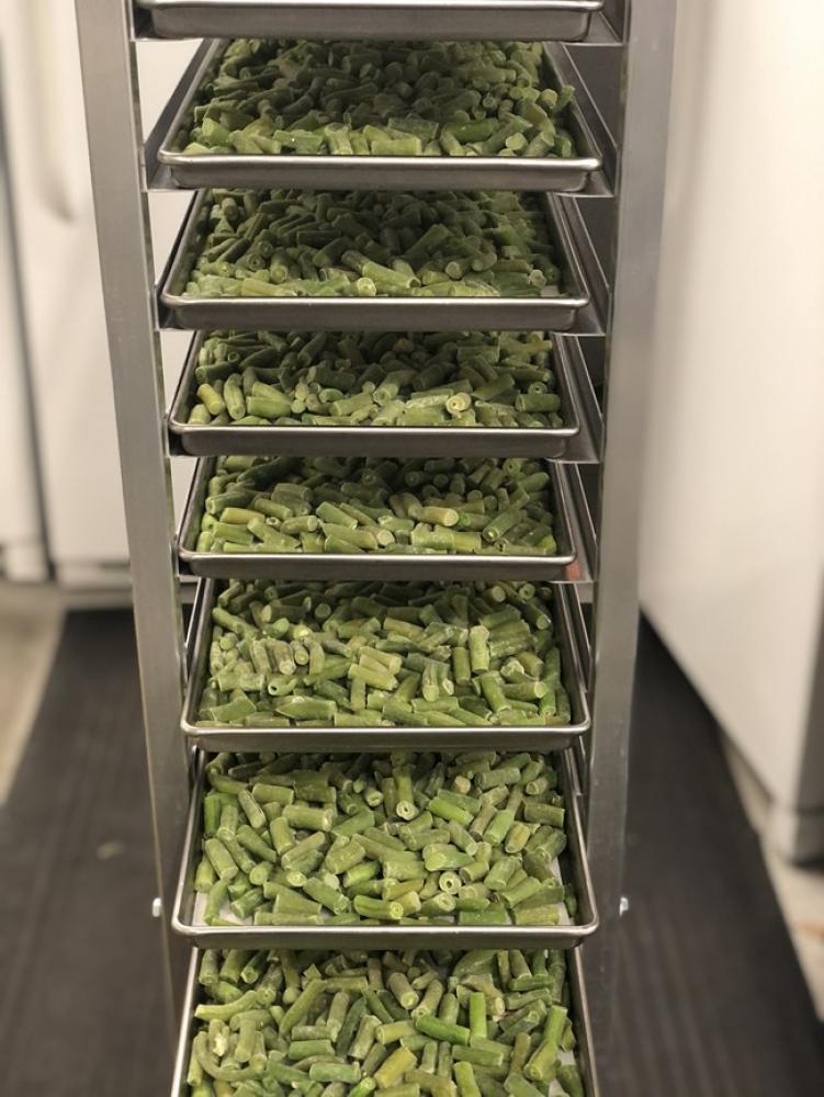 Freeze Dried Cut Green Beans - (Blanched)