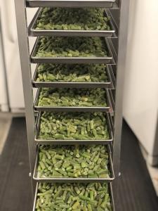 Freeze Dried Cut Green Beans - (Blanched)