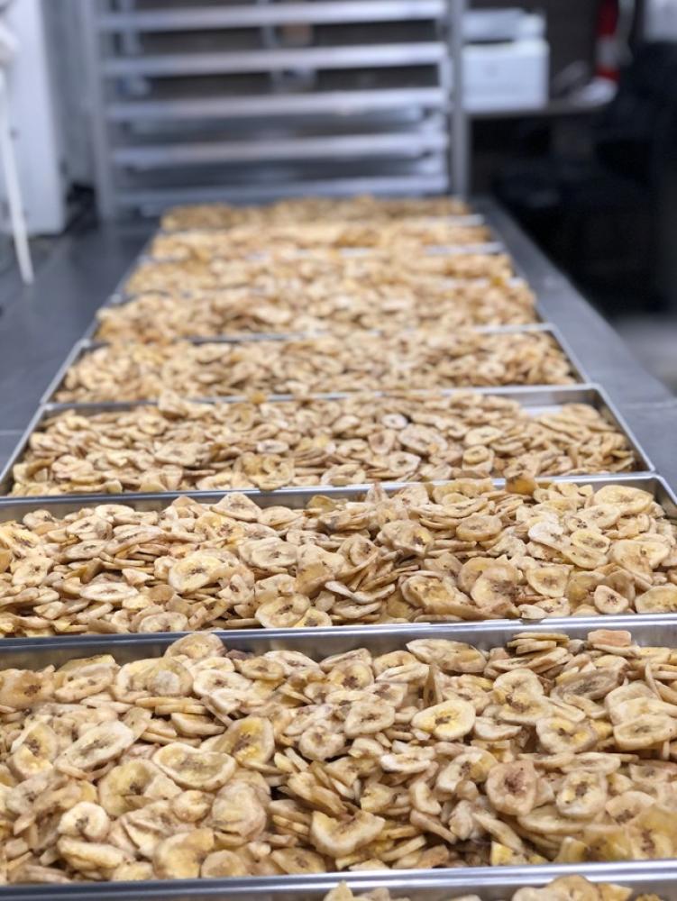 Freeze Dried Sliced Banana