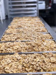 Freeze Dried Sliced Banana