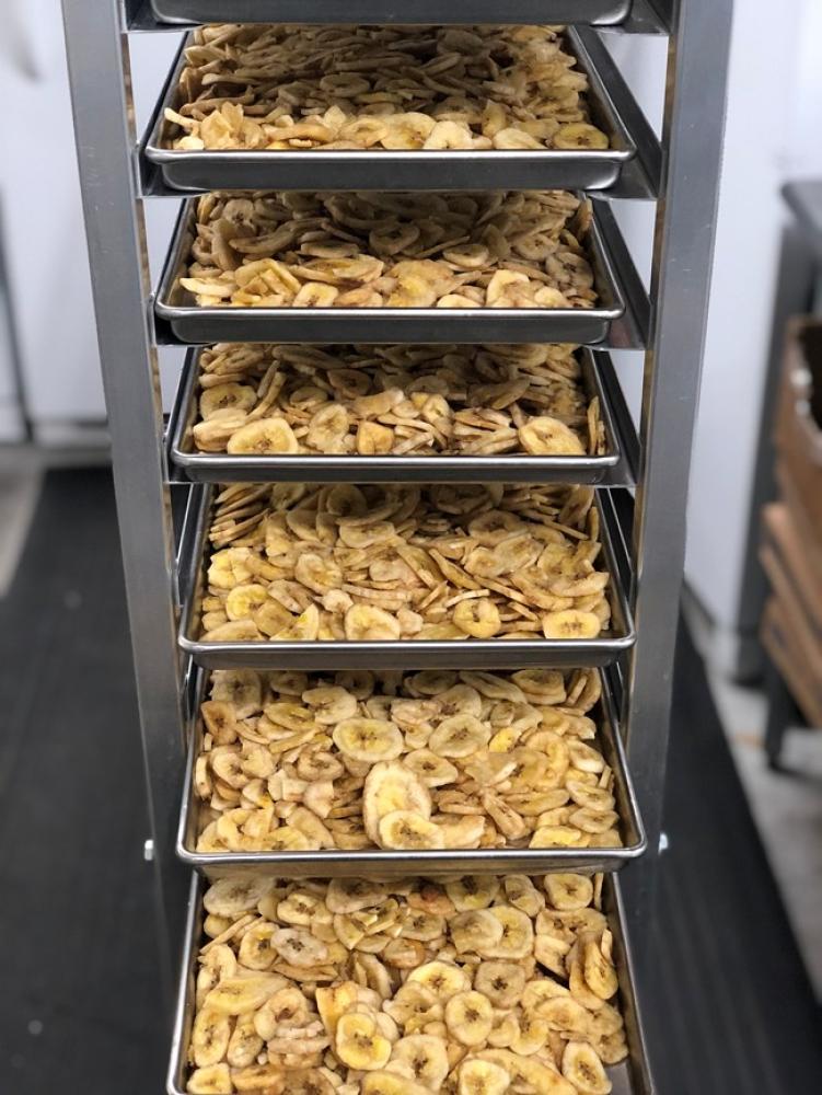 Freeze Dried Sliced Banana