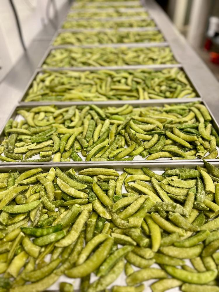 Freeze Dried Sugar Snap Peas