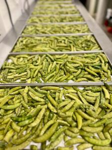 Freeze Dried Sugar Snap Peas