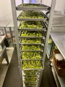 Freeze Dried Sugar Snap Peas