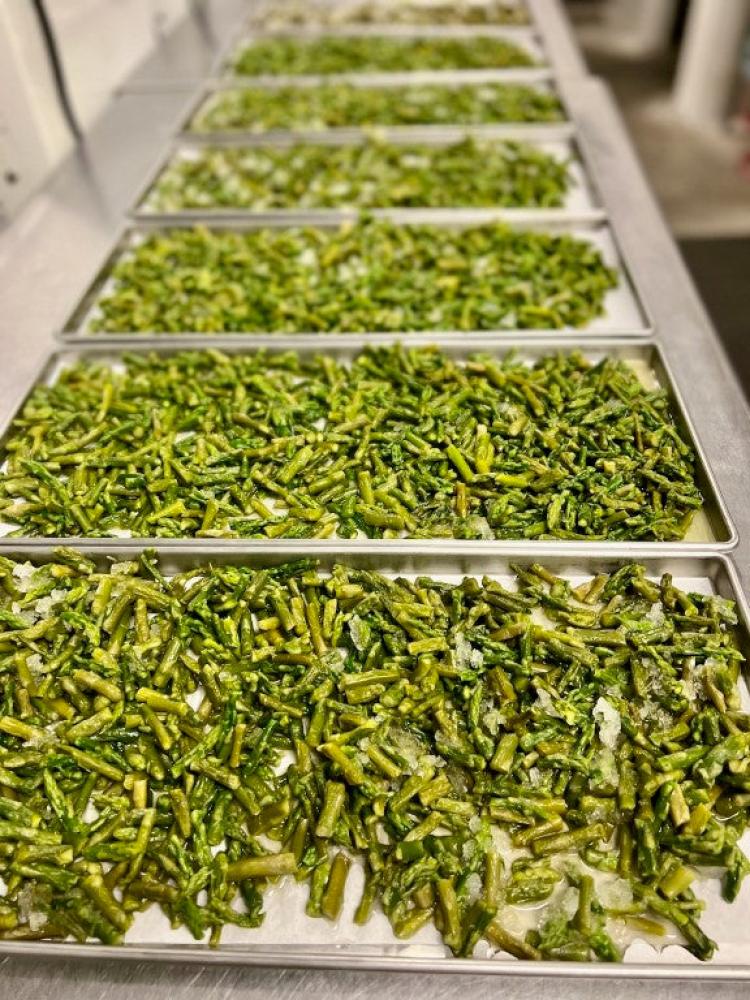 Freeze Dried Asparagus