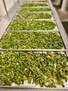 Freeze Dried Asparagus