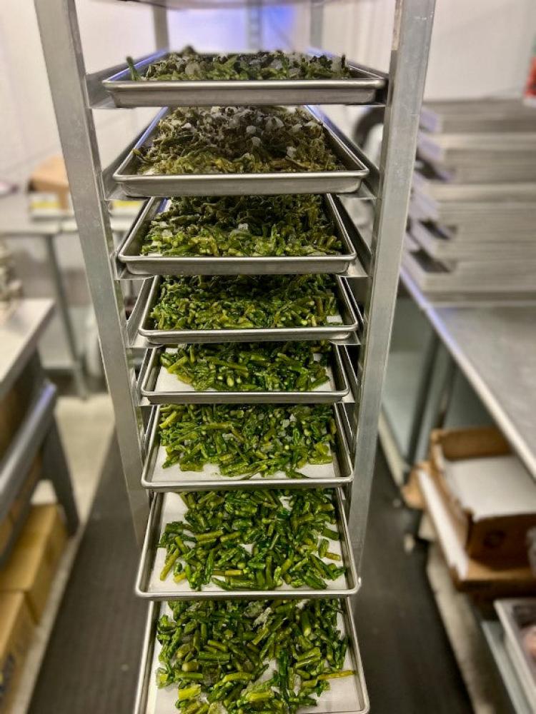 Freeze Dried Asparagus