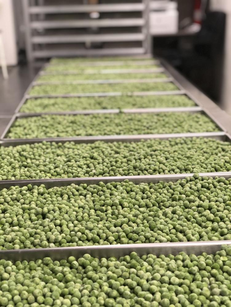 Freeze Dried Green Peas