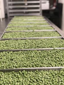 Freeze Dried Green Peas
