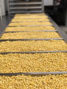 Freeze Dried Corn