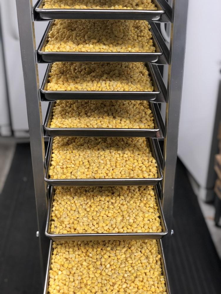 Freeze Dried Corn