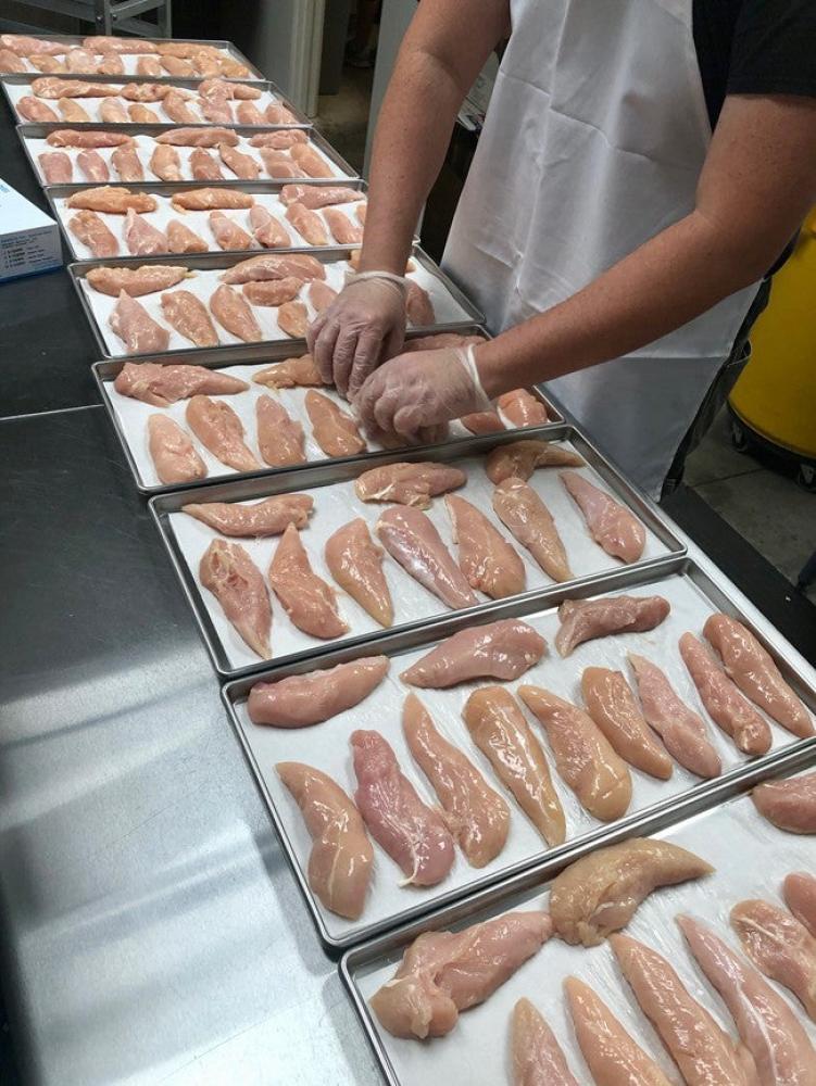 Freeze Dried Uncooked Chicken Tenders