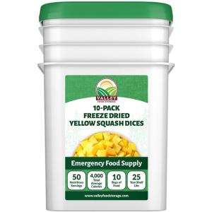 Freeze Dried Yellow Squash Dices - 10 Pack
