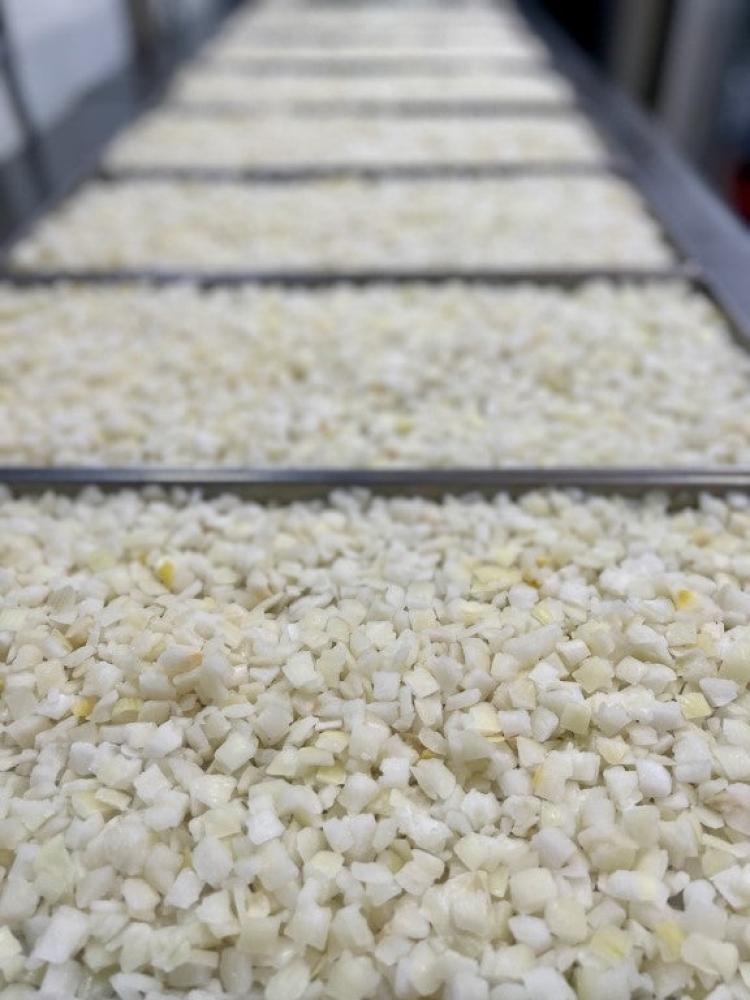 Freeze Dried Fully Cooked Diced Onions