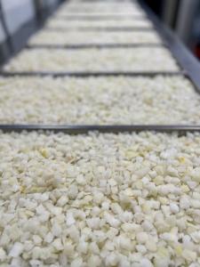 Freeze Dried Fully Cooked Diced Onions