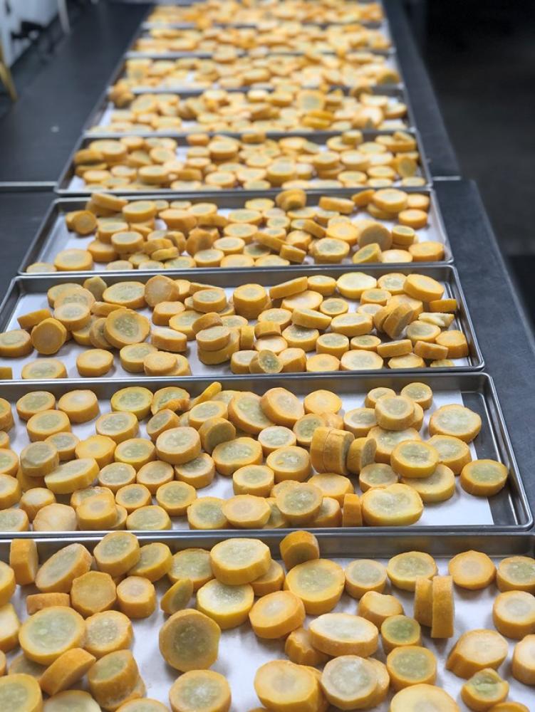 Freeze Dried Sliced Yellow Squash - (pre-blanched)